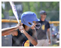 Softball Prints-03 - Copy