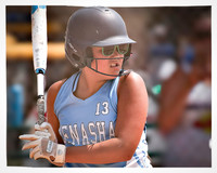 Softball Prints-13 - Copy