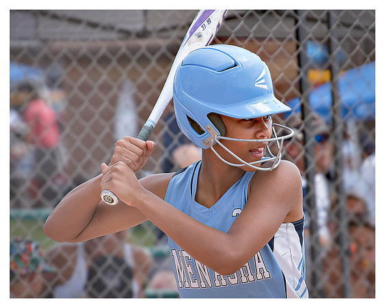 Softball Prints-14 - Copy